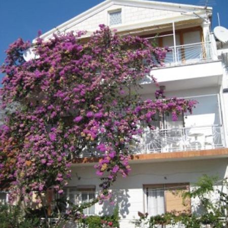 Apartman Graciela Perfect Location Gradac Gradac  Eksteriør bilde