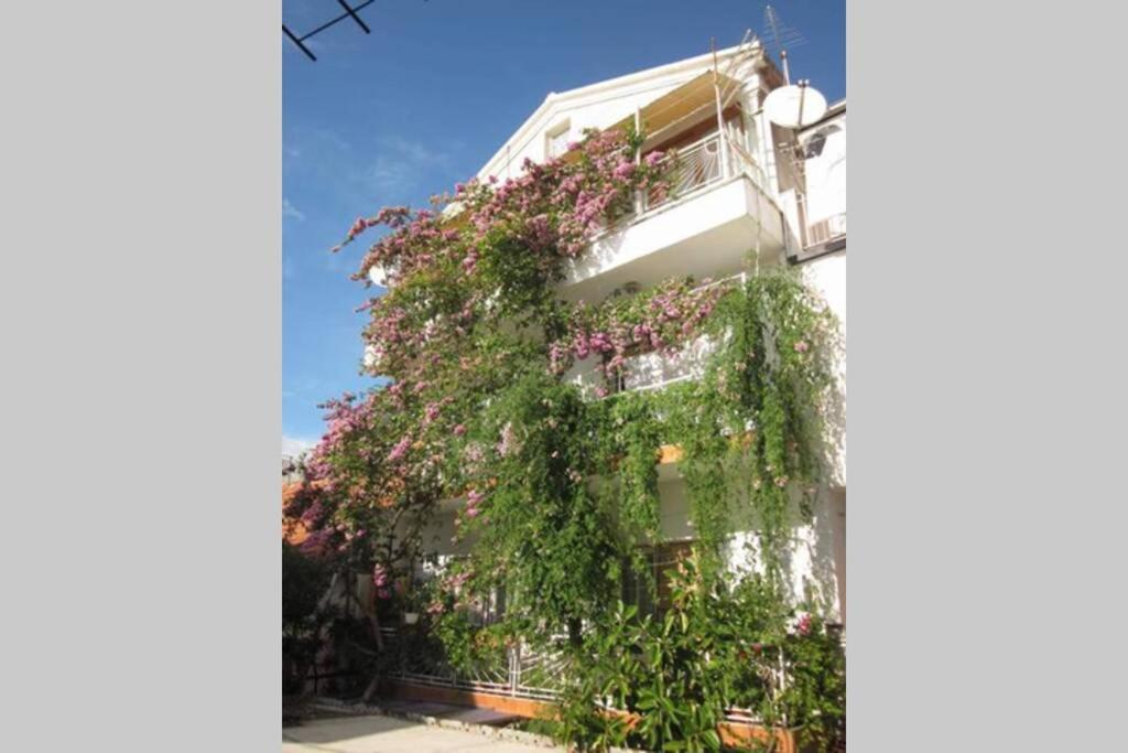 Apartman Graciela Perfect Location Gradac Gradac  Eksteriør bilde